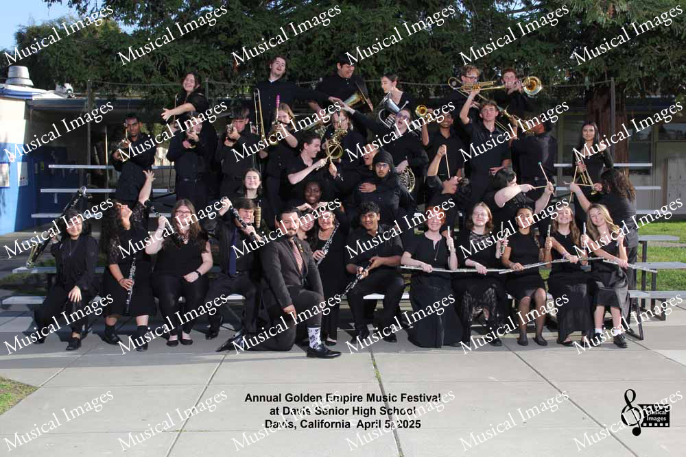 Musical Images